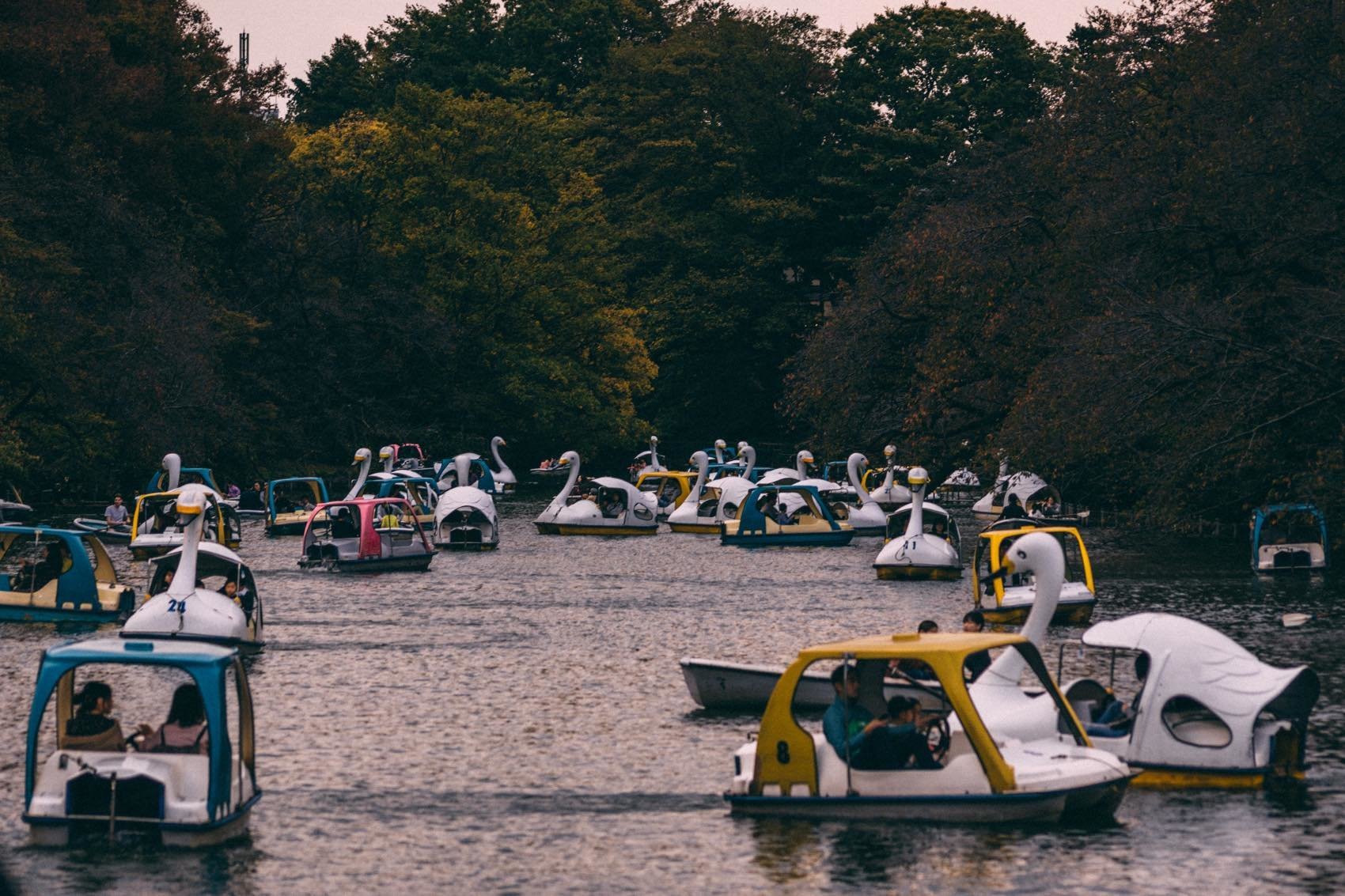 f:id:joko0108:20181114201354j:plain f:id:joko0108:20181114201354j:plain