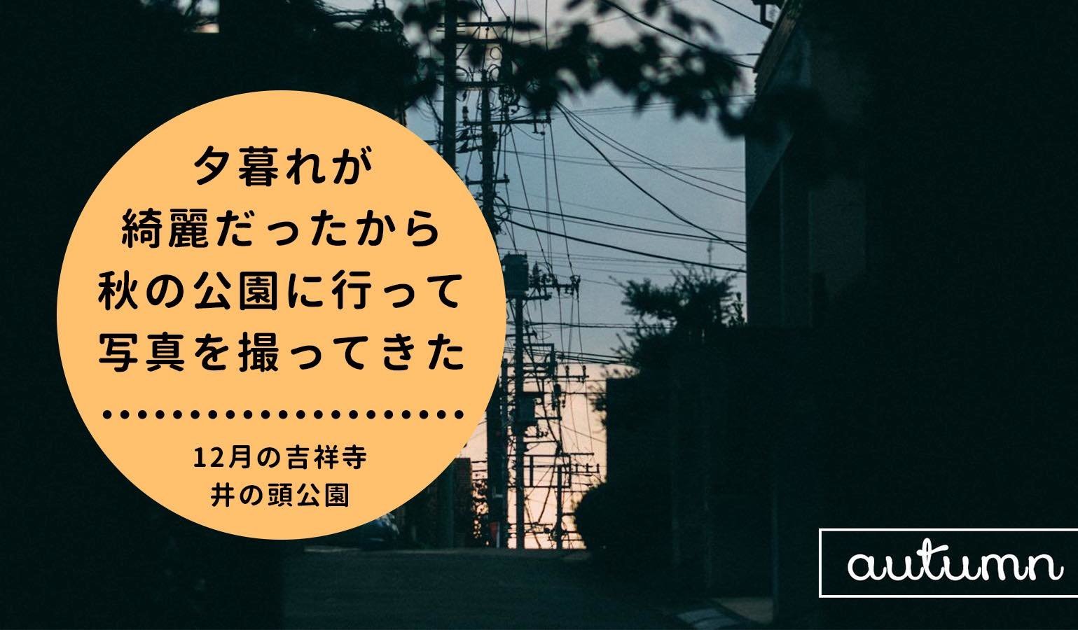 f:id:joko0108:20181230111912j:plain f:id:joko0108:20181230111912j:plain