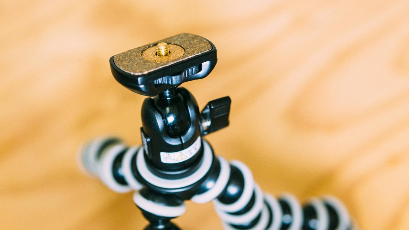 f:id:joko0108:20190212013418j:plain