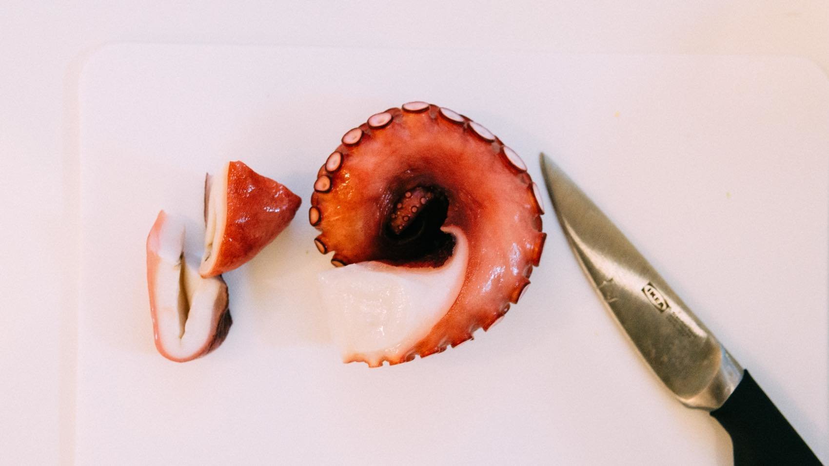 f:id:joko0108:20190219013911j:plain