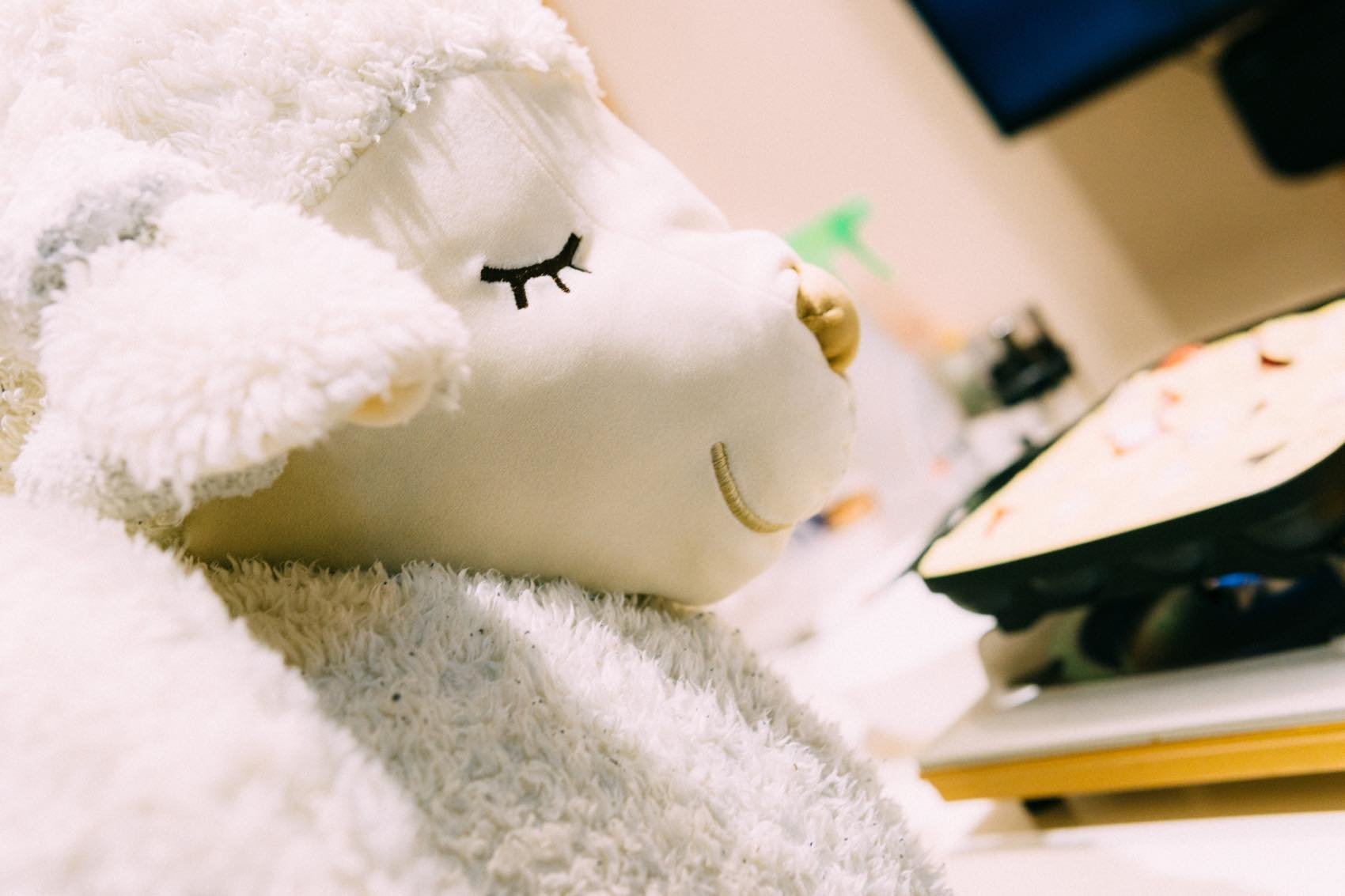 f:id:joko0108:20190219013919j:plain