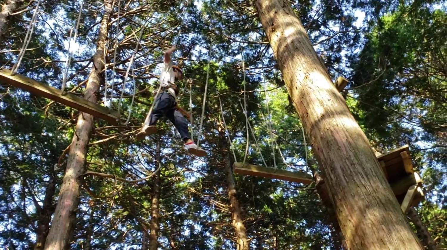 f:id:joko0108:20190617235055j:plain f:id:joko0108:20190617235055j:plain