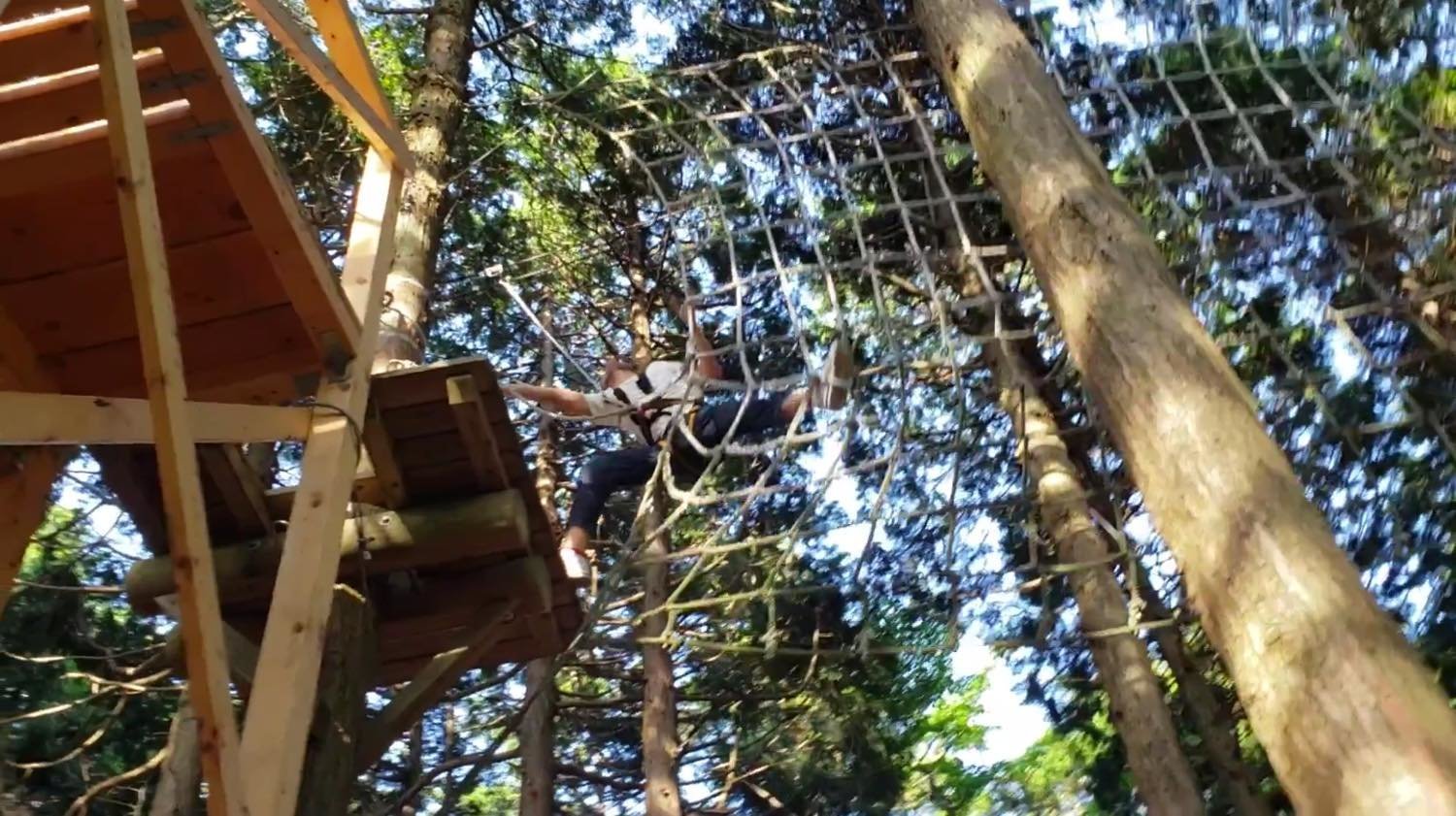 f:id:joko0108:20190617235058j:plain f:id:joko0108:20190617235058j:plain