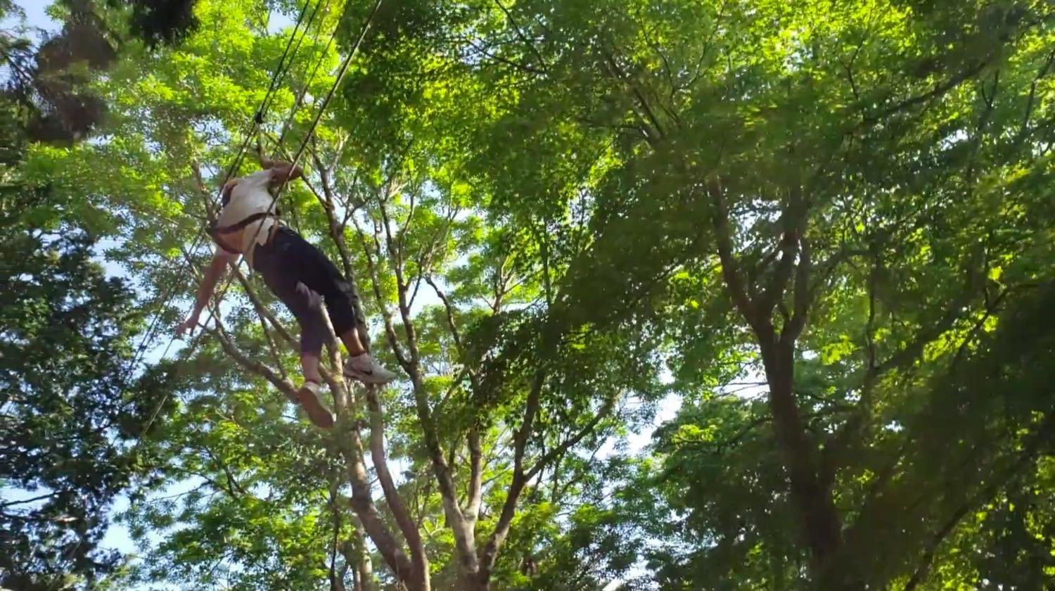 f:id:joko0108:20190617235102j:plain f:id:joko0108:20190617235102j:plain