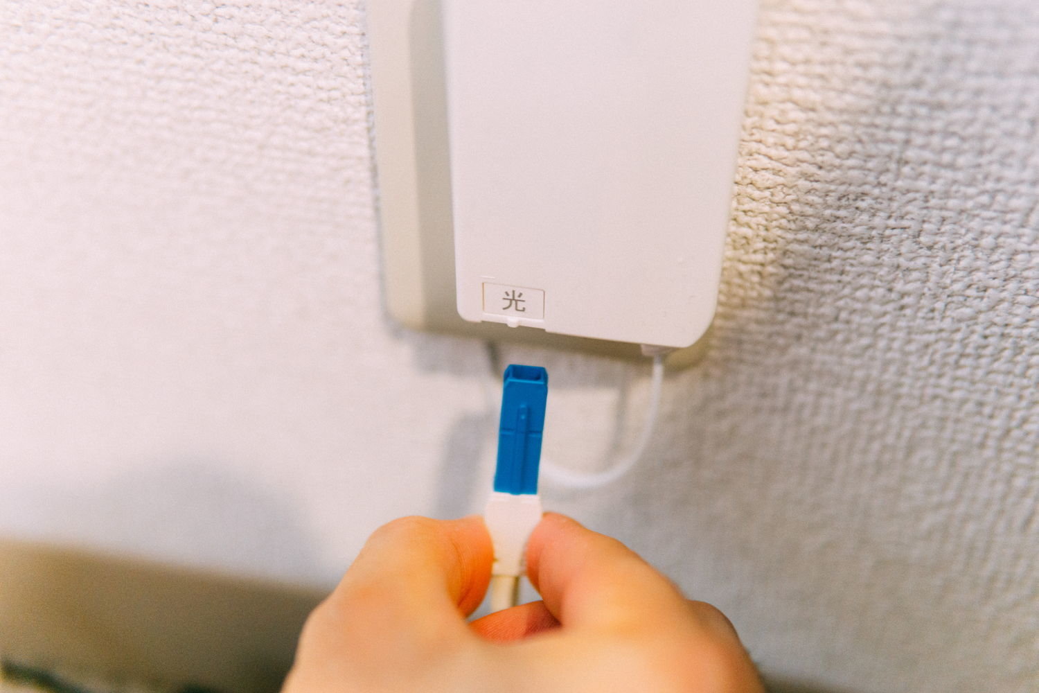 f:id:joko0108:20200320100522j:plain f:id:joko0108:20200320100522j:plain