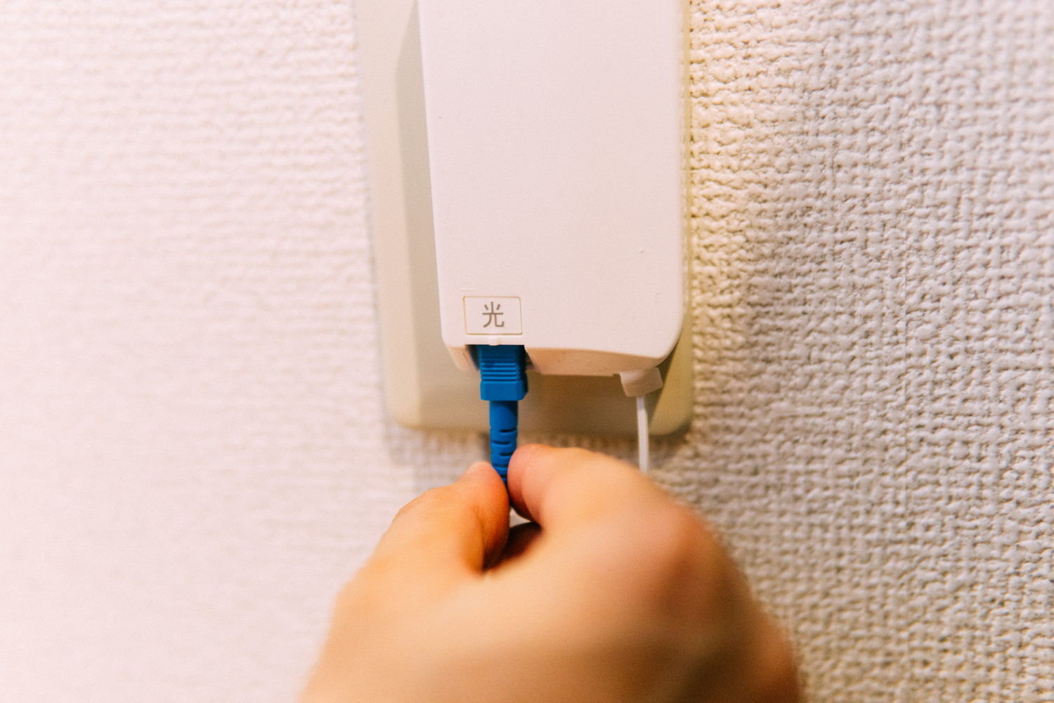 f:id:joko0108:20200320100555j:plain f:id:joko0108:20200320100555j:plain