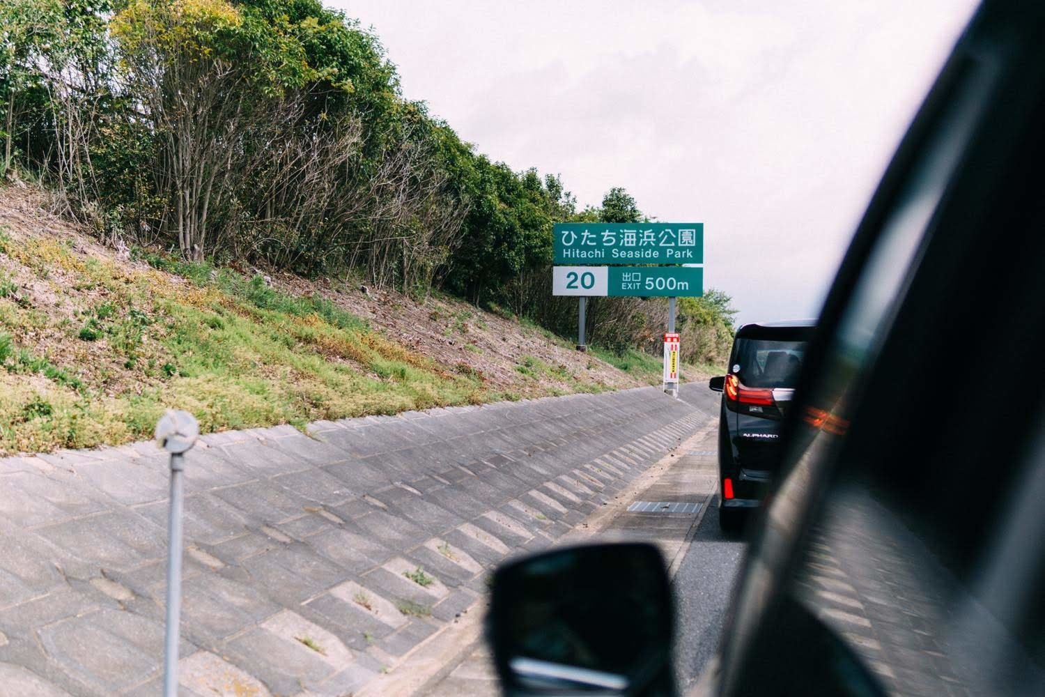 GWの混雑の中、ひたち海浜公園のネモフィラを見てきました！ - もの