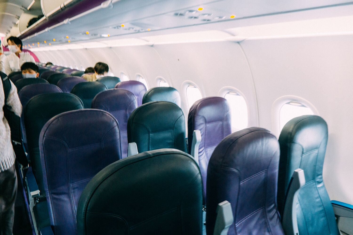 f:id:joko0108:20201120123515j:plain f:id:joko0108:20201120123515j:plain