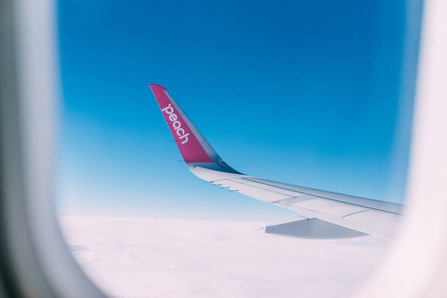 f:id:joko0108:20201120133313j:plain f:id:joko0108:20201120133313j:plain