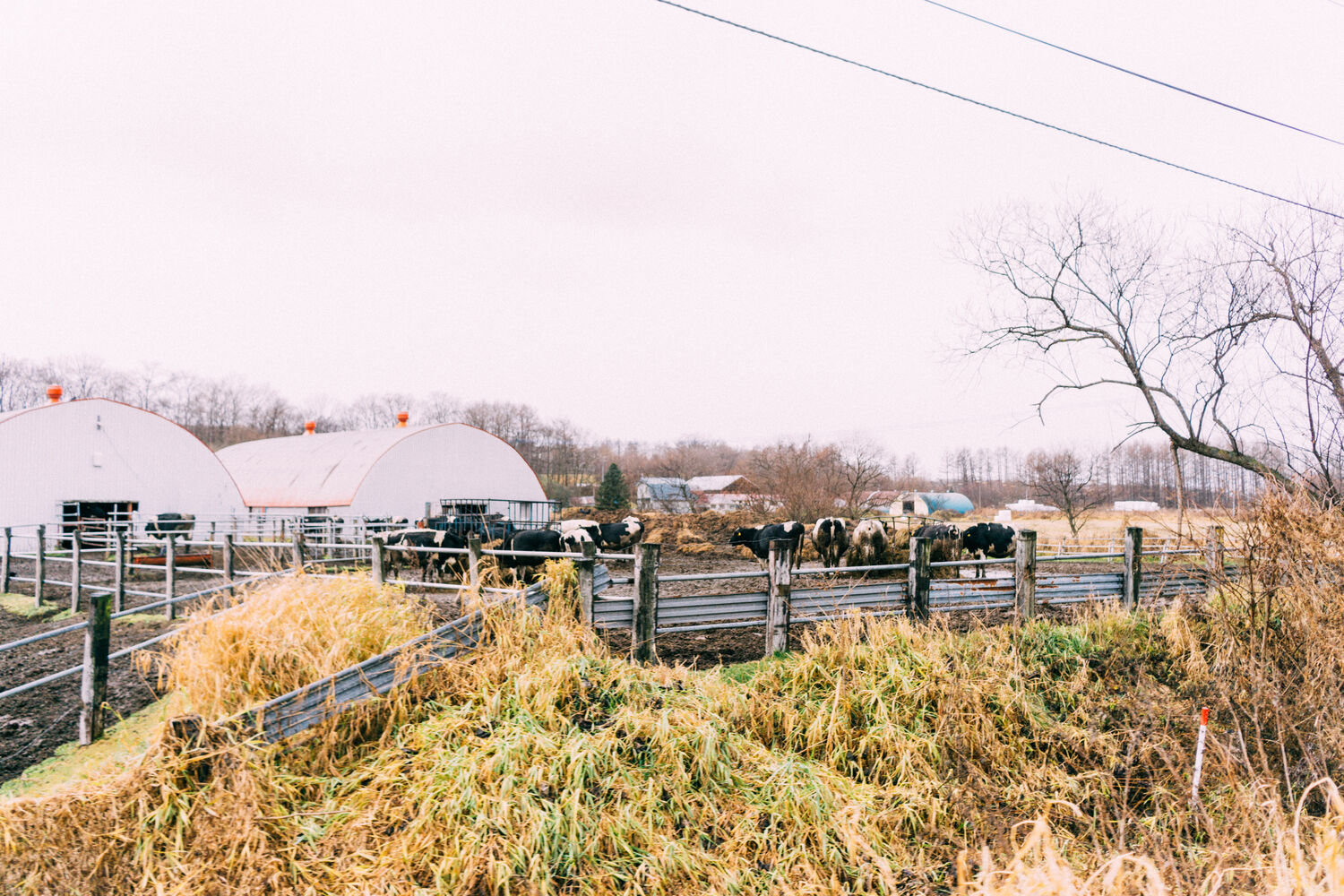 f:id:joko0108:20201121113727j:plain f:id:joko0108:20201121113727j:plain