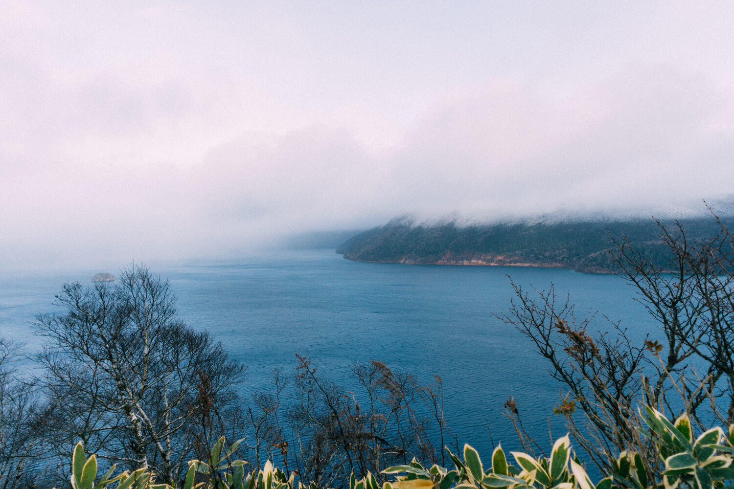 f:id:joko0108:20201121133604j:plain f:id:joko0108:20201121133604j:plain