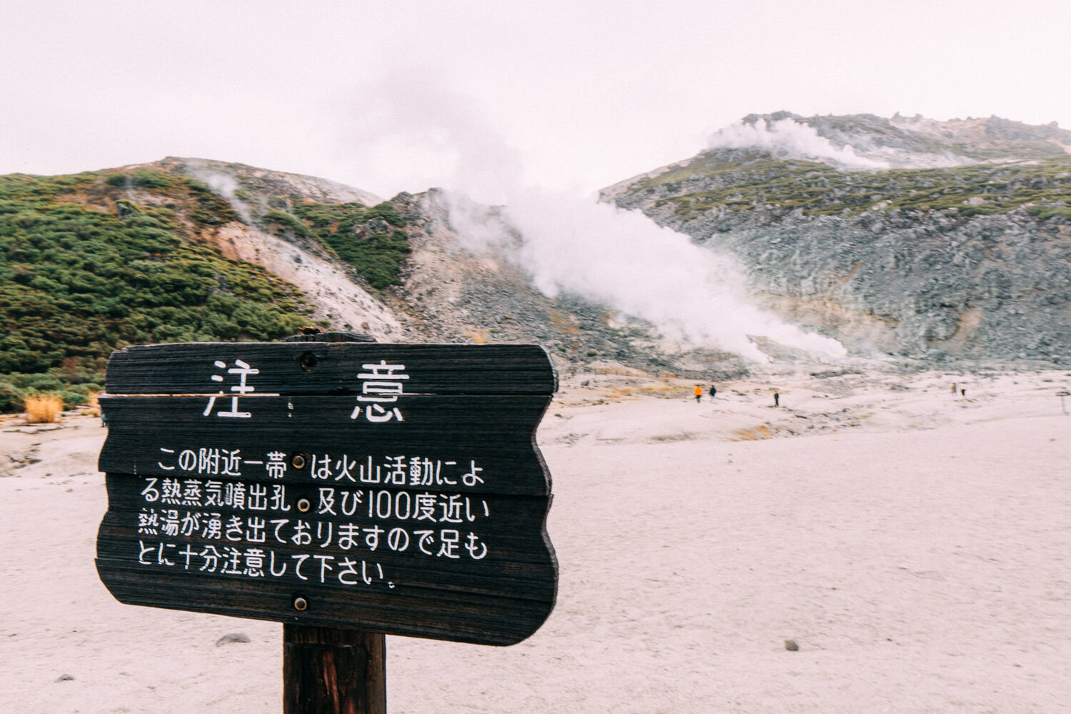 f:id:joko0108:20201121141441j:plain f:id:joko0108:20201121141441j:plain