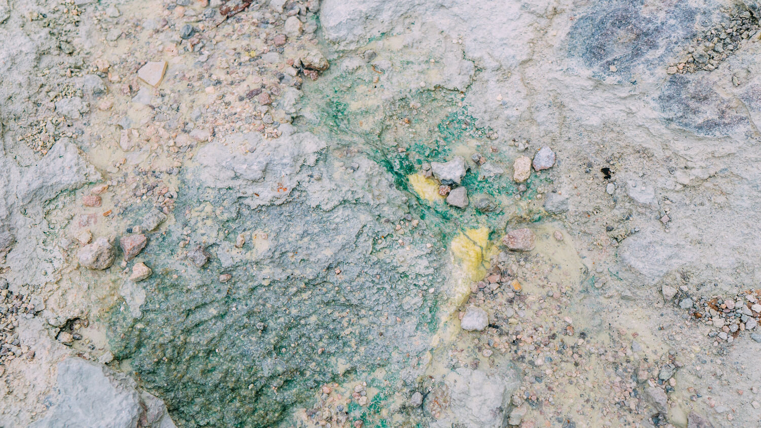 f:id:joko0108:20201121143016j:plain f:id:joko0108:20201121143016j:plain