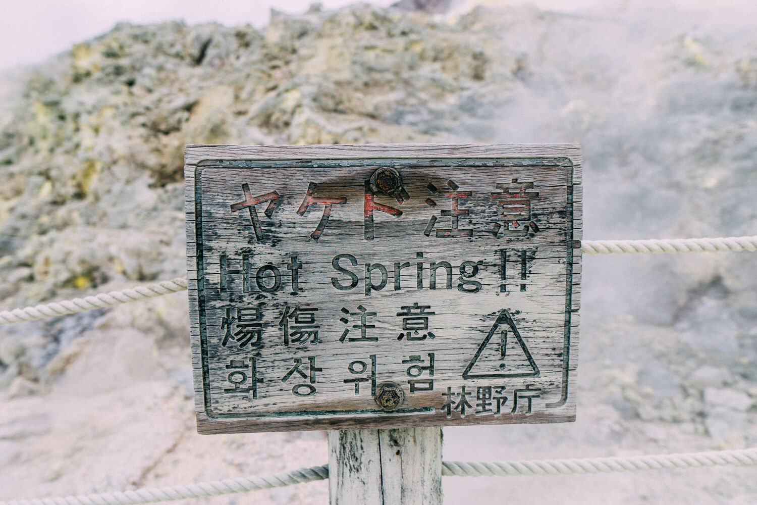 f:id:joko0108:20201121143035j:plain f:id:joko0108:20201121143035j:plain