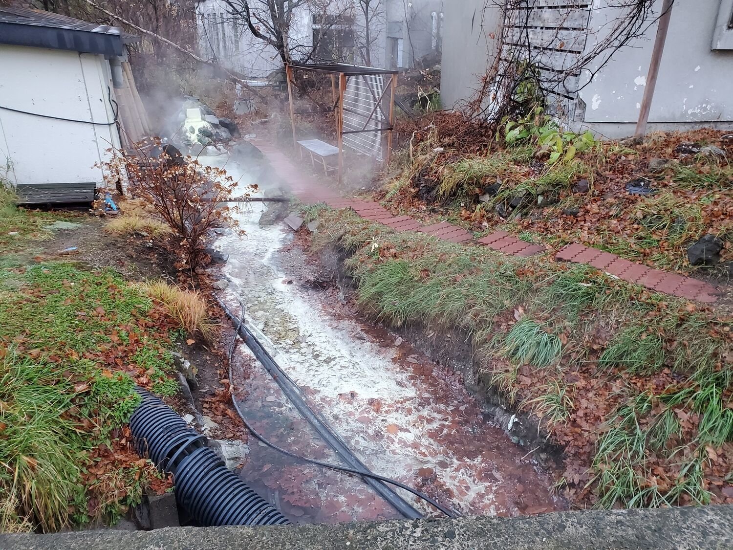 f:id:joko0108:20201121154318j:plain f:id:joko0108:20201121154318j:plain