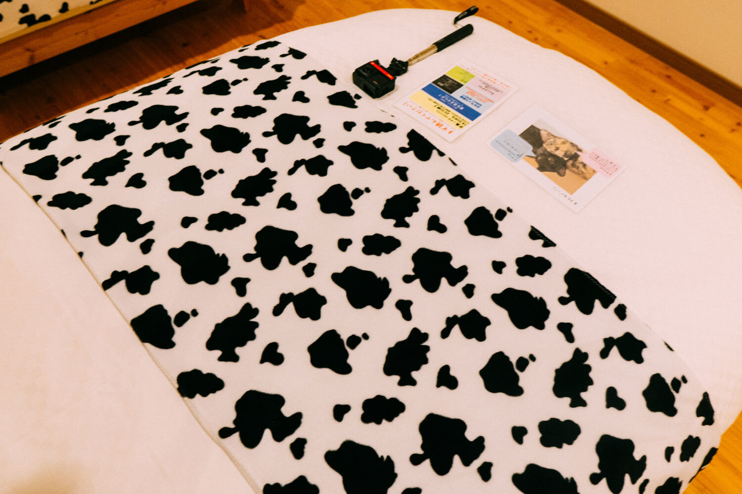 f:id:joko0108:20201121163440j:plain f:id:joko0108:20201121163440j:plain