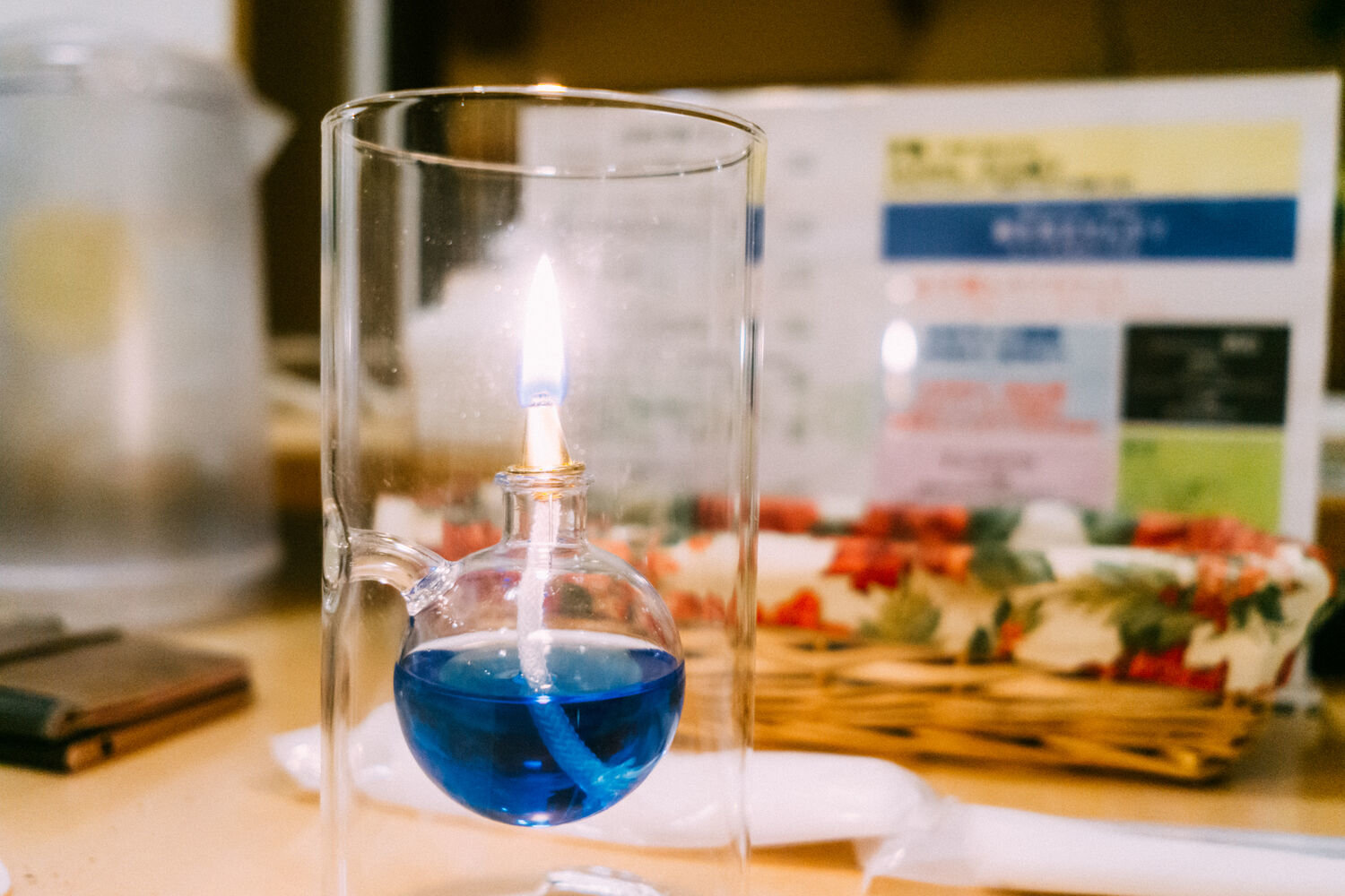 f:id:joko0108:20201121185549j:plain f:id:joko0108:20201121185549j:plain