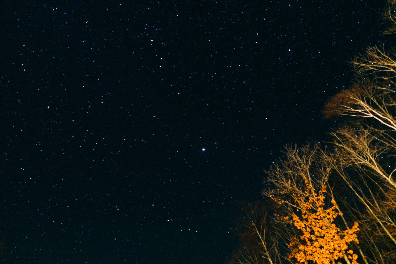 f:id:joko0108:20201121222719j:plain f:id:joko0108:20201121222719j:plain