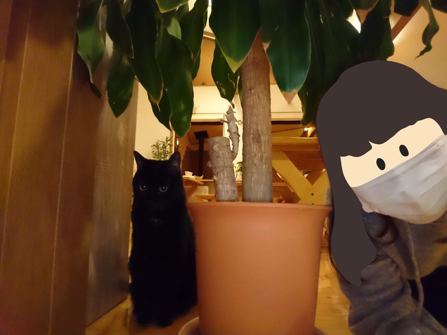 f:id:joko0108:20201129230601j:plain f:id:joko0108:20201129230601j:plain