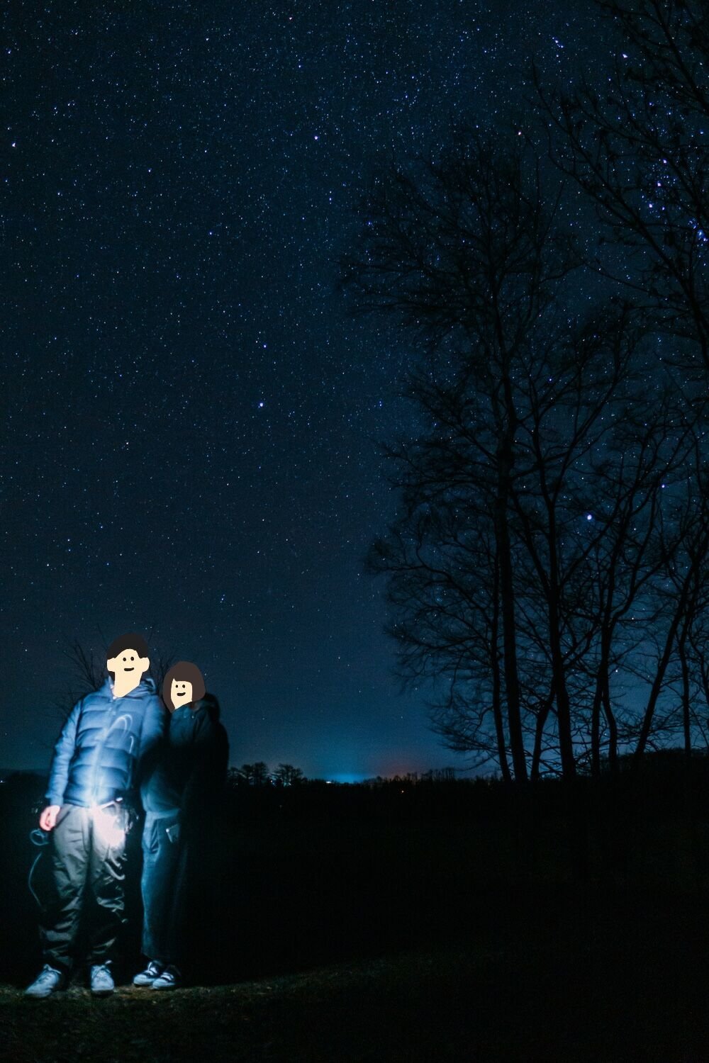 f:id:joko0108:20201129230642j:plain f:id:joko0108:20201129230642j:plain