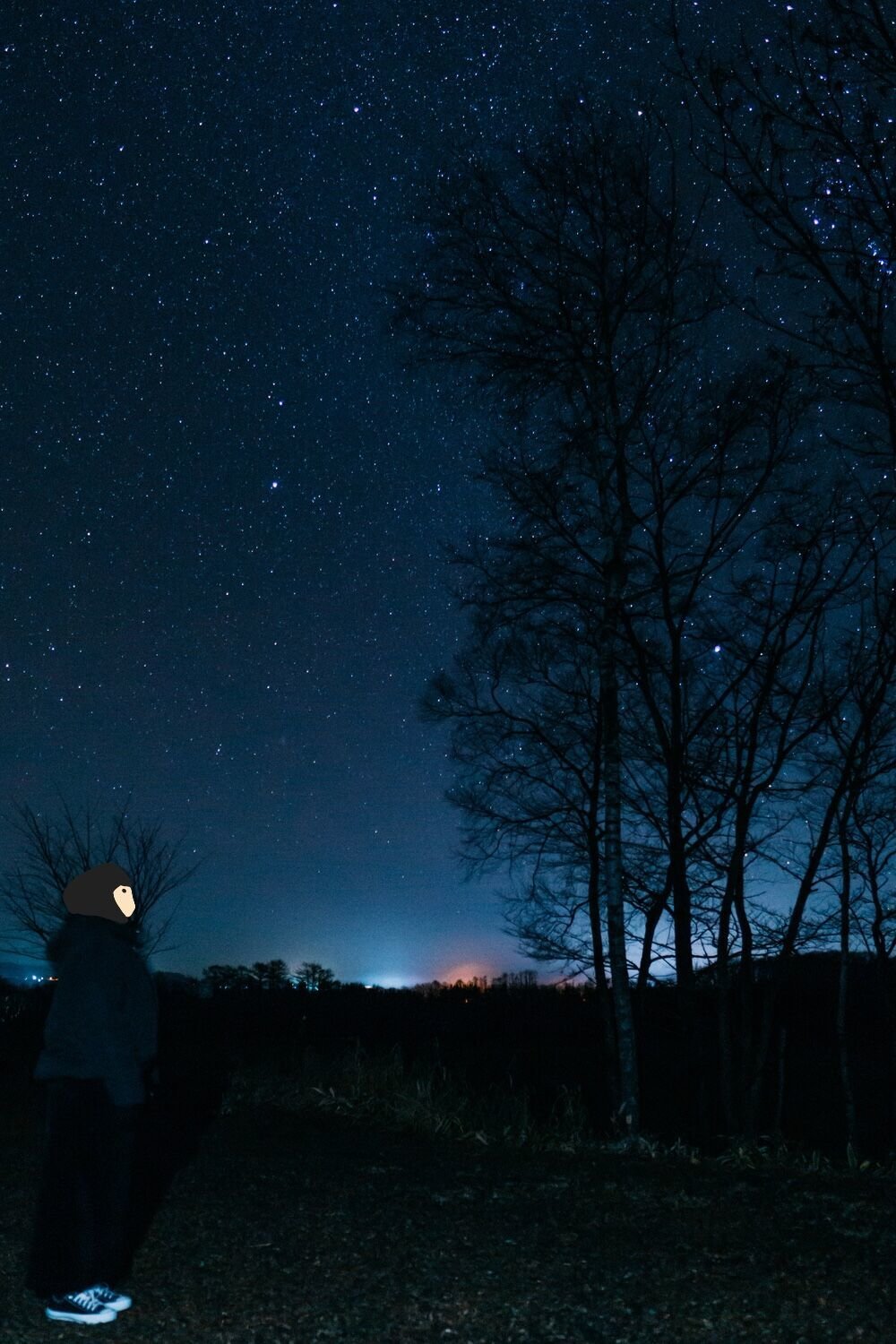 f:id:joko0108:20201129230643j:plain f:id:joko0108:20201129230643j:plain