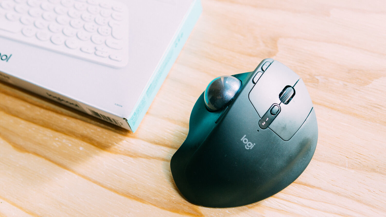 f:id:joko0108:20210122153642j:plain f:id:joko0108:20210122153642j:plain