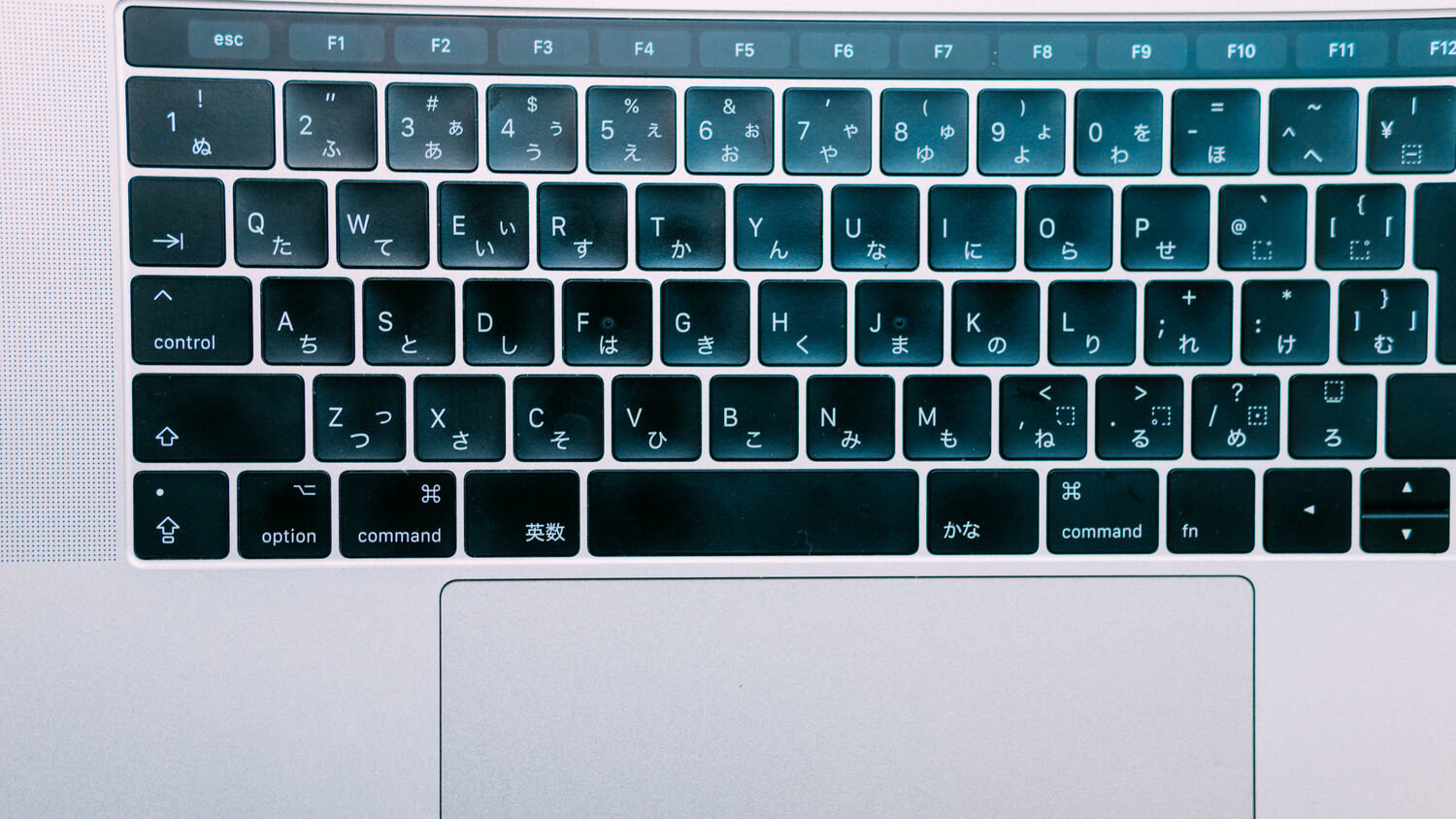 f:id:joko0108:20210122153950j:plain f:id:joko0108:20210122153950j:plain