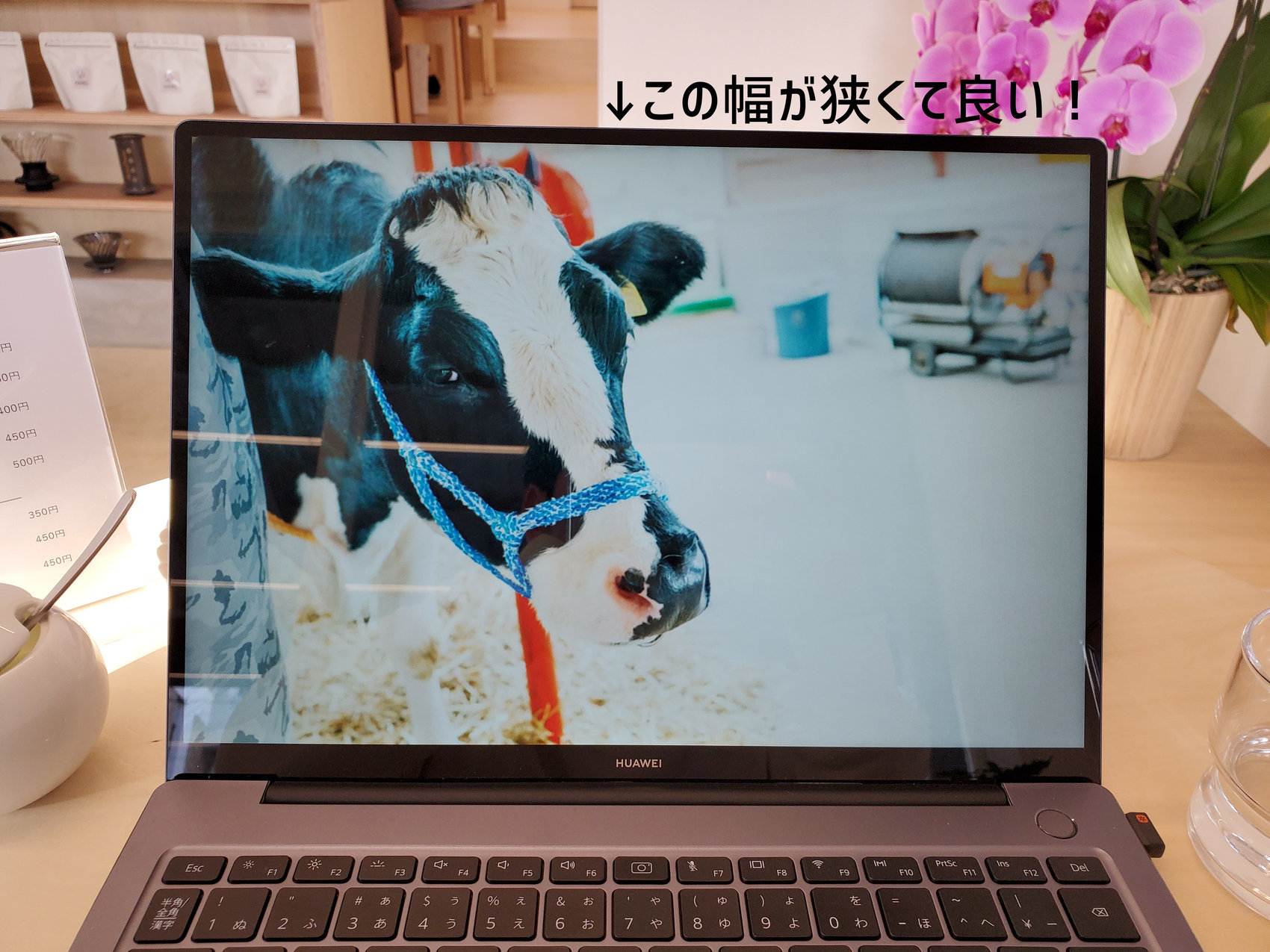 f:id:joko0108:20210223160044j:plain