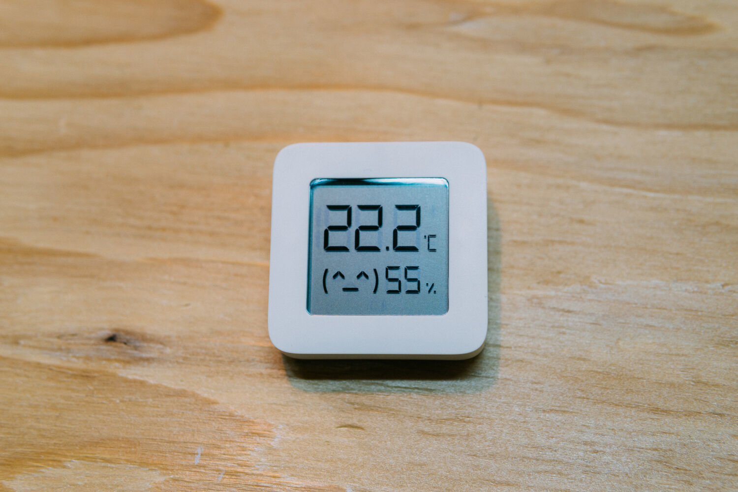 f:id:joko0108:20210307104019j:plain