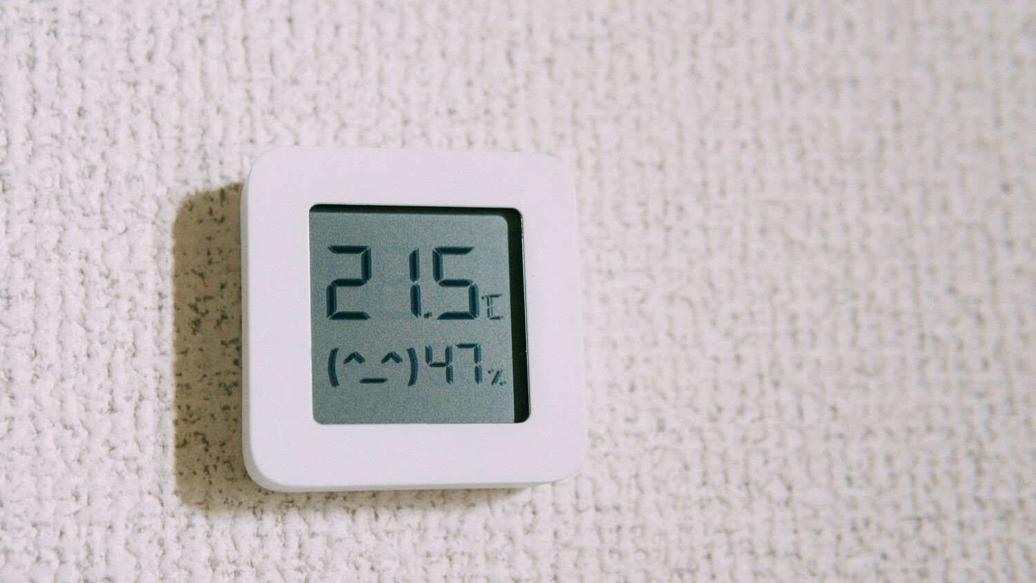 f:id:joko0108:20210307110923j:plain