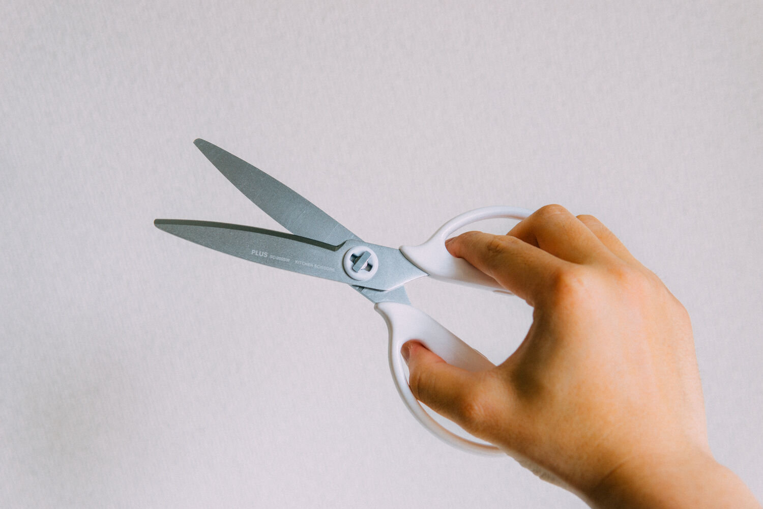 f:id:joko0108:20210329143811j:plain