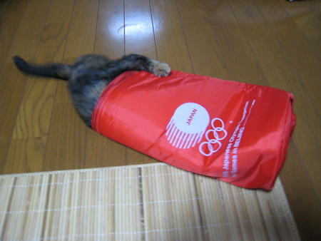 f:id:jollymadam:20080810205719j:image