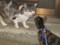 しかられ中