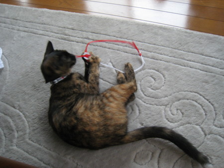 f:id:jollymadam:20080929102928j:image