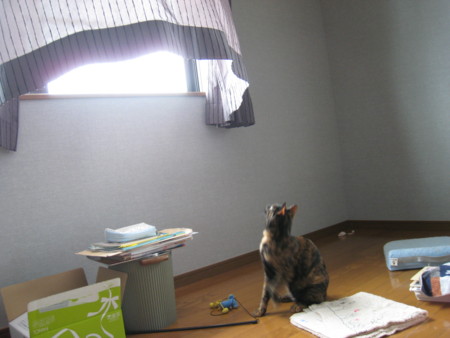 f:id:jollymadam:20090713170626j:image