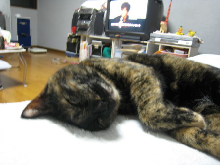 f:id:jollymadam:20090716161840j:image