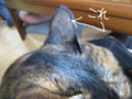 20090731100855