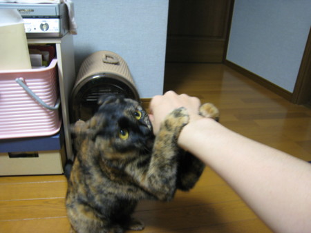 f:id:jollymadam:20090903103622j:image