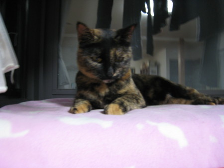 f:id:jollymadam:20090916130137j:image