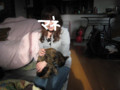 20091206114403