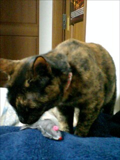 f:id:jollymadam:20100414215830j:image