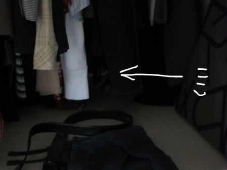 f:id:jollymadam:20110624075127j:image f:id:jollymadam:20110624075127j:image