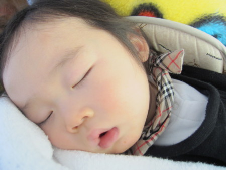 f:id:jollymadam:20121230104826j:image