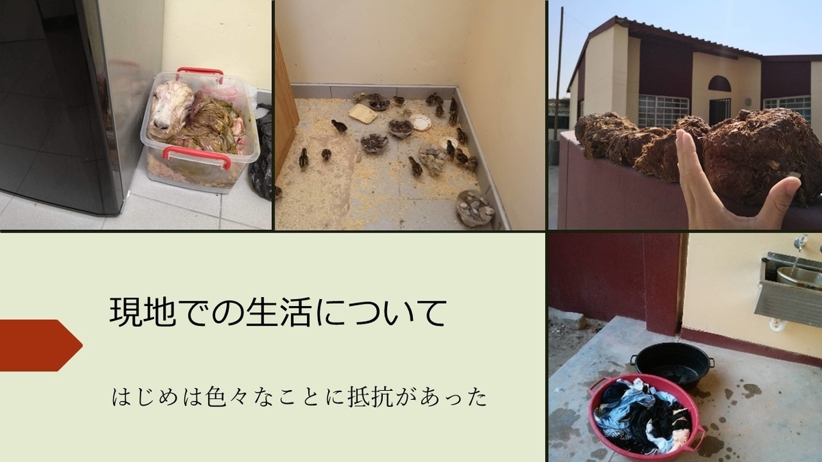 f:id:jollyoshi:20200922125431j:plain