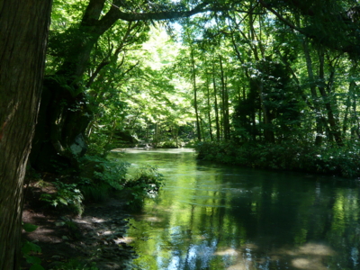 f:id:jomonne:20100818090410j:image