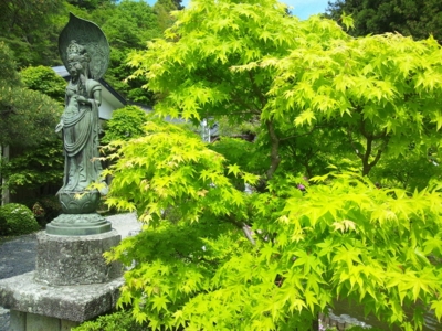 f:id:jomonne:20110515131645j:image