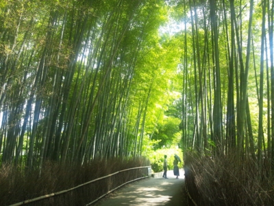 f:id:jomonne:20110812102345j:image