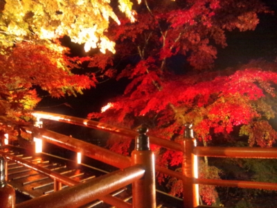 f:id:jomonne:20111106172639j:image