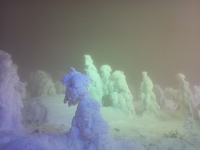 f:id:jomonne:20111231174032j:image