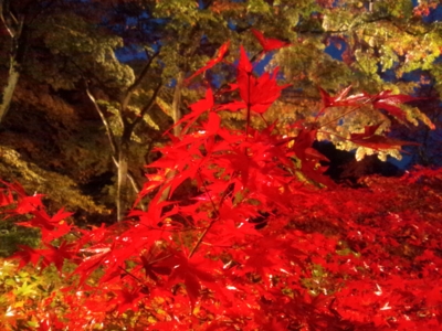 f:id:jomonne:20120108011558j:image
